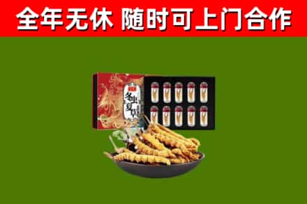 郸城回收冬虫夏草价格