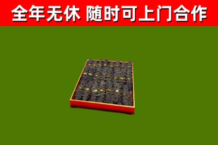 郸城回收海参